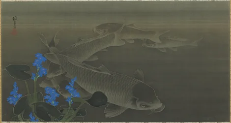 Carpa, período Edo, 1787-1846
